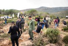 Perenco Tunisie lance un projet de reboisement à Nabeul