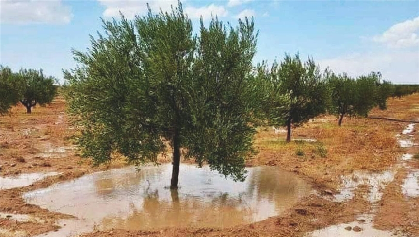 امطار شهر ماي