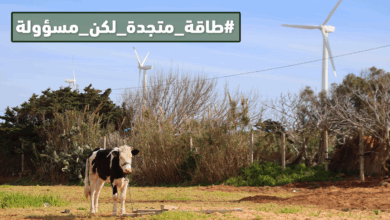 طاقة متجدة لكن مسؤولة