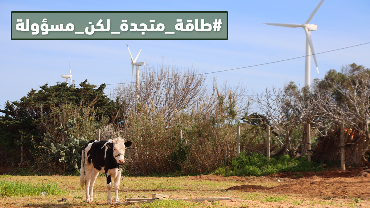 طاقة متجدة لكن مسؤولة