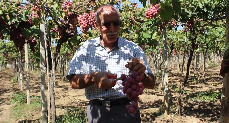 جيلالي قائلًا: "قبل عام 2016 كانت الأمطار تُنعش الأرض بأكثر من 1500 ملم سنويًا