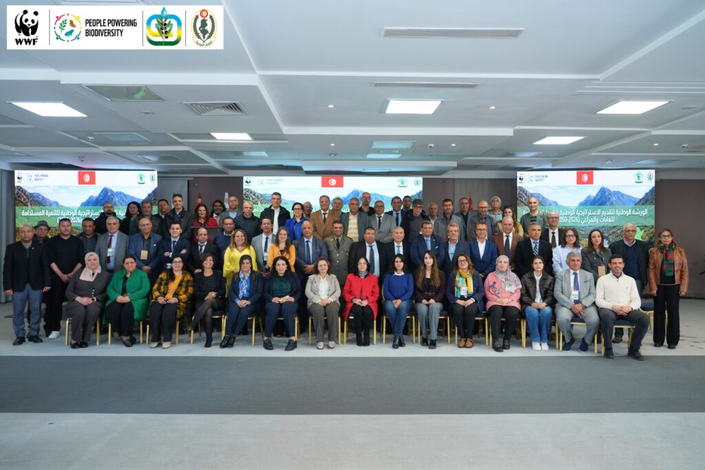 atelier organisé par le Fonds mondial pour la nature – Afrique du Nord, en partenariat avec la Direction générale des forêts: Stratégie nationale de développement durable des forêts et des parcours en Tunisie (2026–2050)